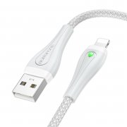 Кабель Borofone BX100 Advantage для Apple (USB - lightning) (серый) — 3